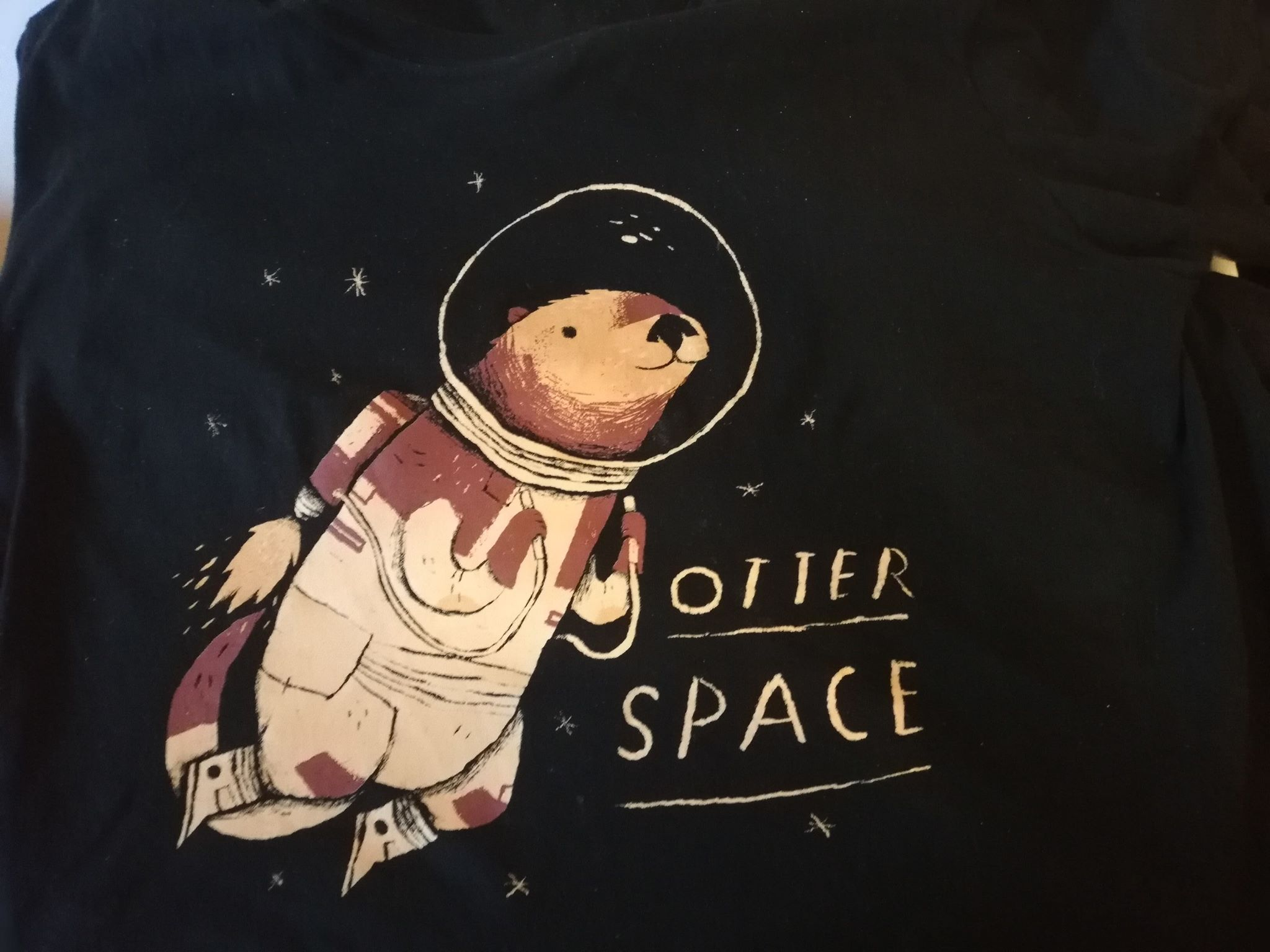 Space Otters.png
